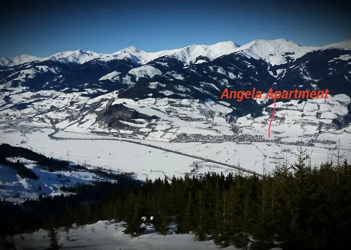 公寓 安吉拉公寓 *